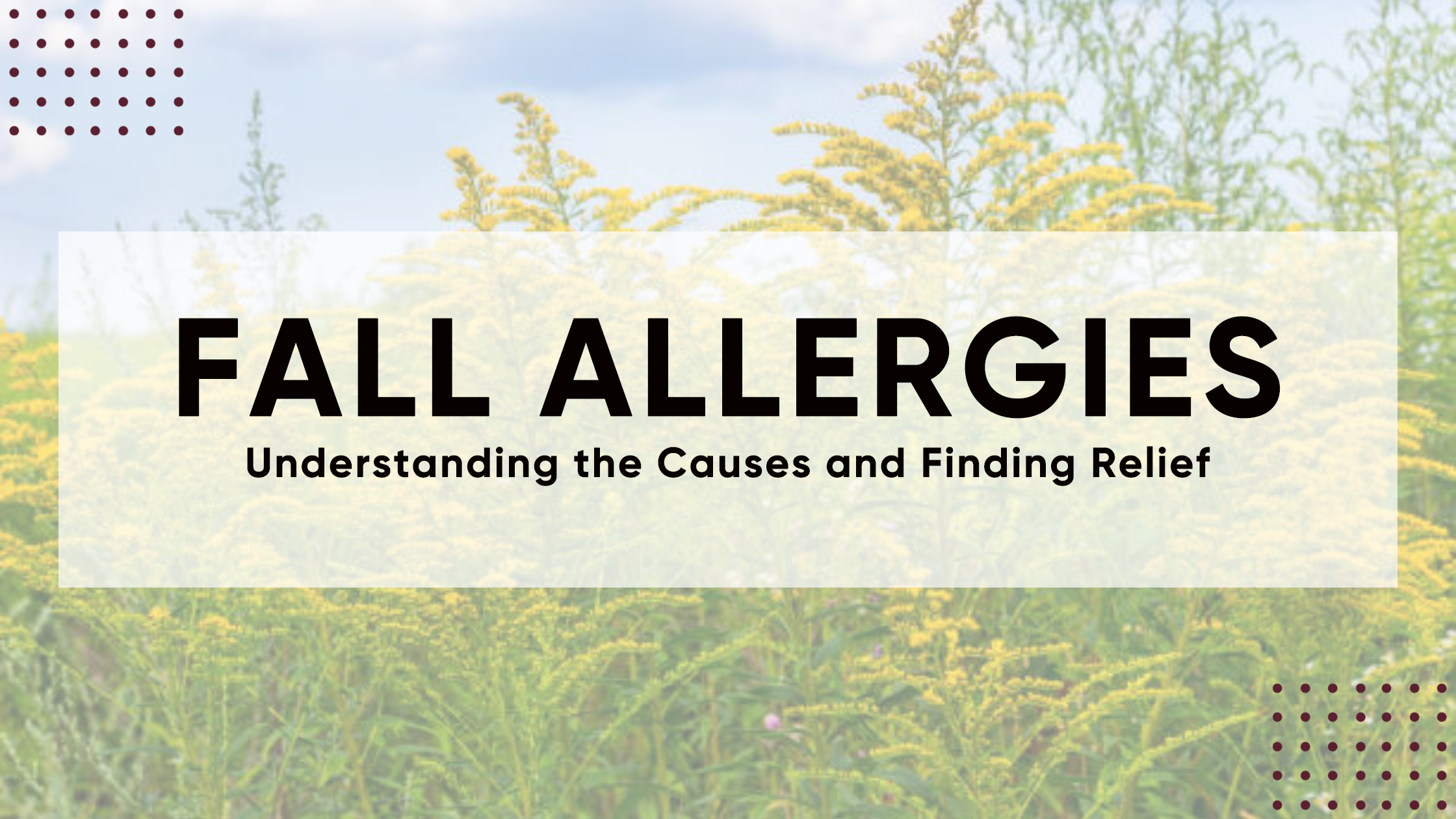 Fall Allergies: Understanding the Causes and Finding Relief