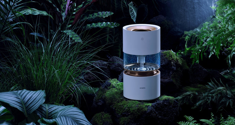 Smartmi Humidifier Rainforest - smartmi US