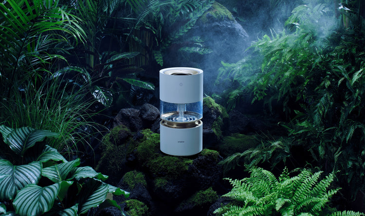 Smartmi Humidifier Rainforest - smartmi US