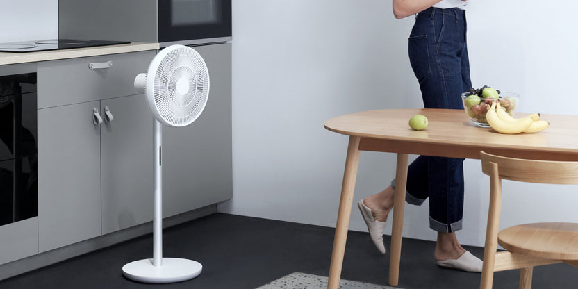 Samart Mini Fan Smartmi Store | Smartmi Standing Fan 3 - smartmi US